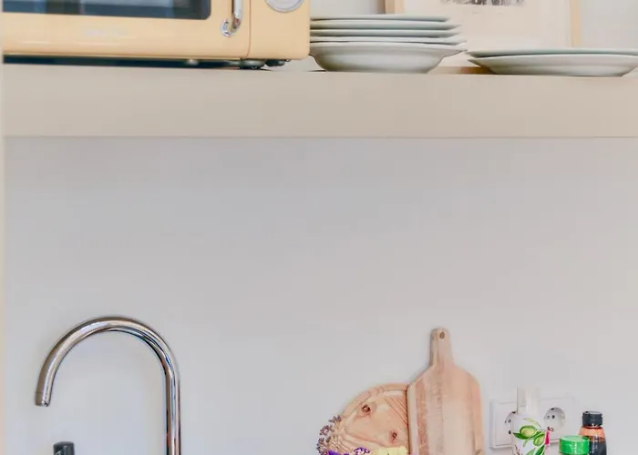 Palazzo, Antique Charm With Romantic Balcony And Ac Apartament *