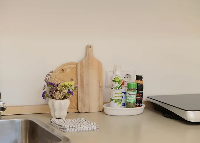 Palazzo, Antique Charm With Romantic Balcony And Ac Apartament *